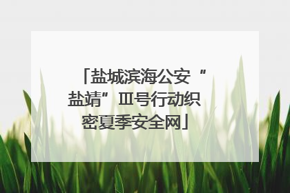 盐城滨海公安“盐靖”Ⅲ号行动织密夏季安全网