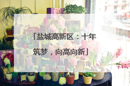 盐城高新区：十年筑梦，向高向新