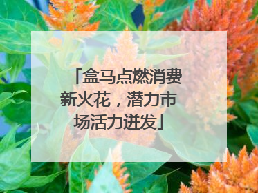 盒马点燃消费新火花，潜力市场活力迸发