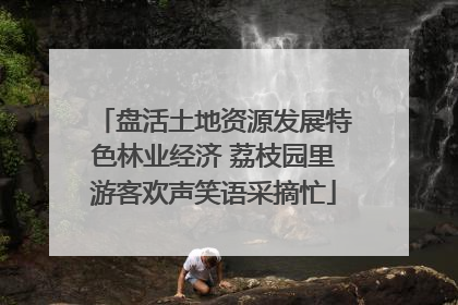 盘活土地资源发展特色林业经济 荔枝园里游客欢声笑语采摘忙
