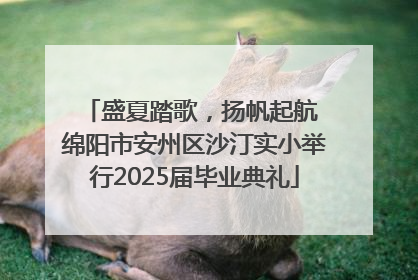 盛夏踏歌，扬帆起航 绵阳市安州区沙汀实小举行2025届毕业典礼