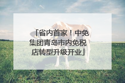 省内首家！中免集团青岛市内免税店转型升级开业