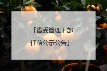省委管理干部任前公示公告