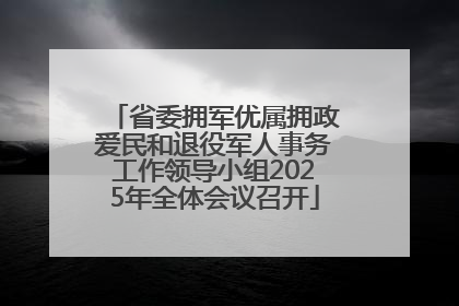 省委拥军优属拥政爱民和退役军人事务工作领导小组2025年全体会议召开