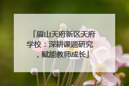 眉山天府新区天府学校：深耕课题研究，赋能教师成长