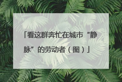 看这群奔忙在城市“静脉”的劳动者（图）