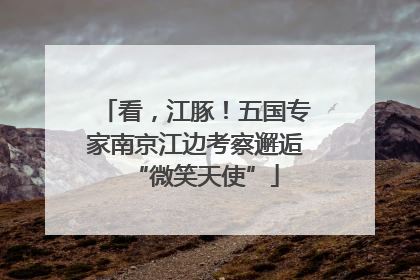 看，江豚！五国专家南京江边考察邂逅“微笑天使”