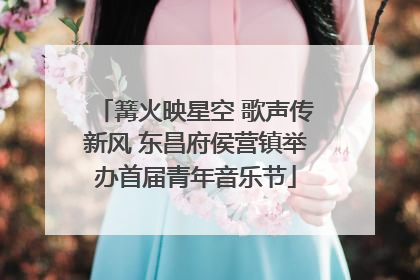 篝火映星空 歌声传新风 东昌府侯营镇举办首届青年音乐节