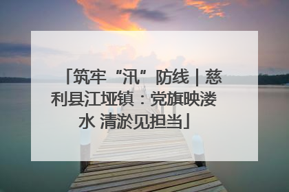 筑牢“汛”防线｜慈利县江垭镇：党旗映溇水 清淤见担当