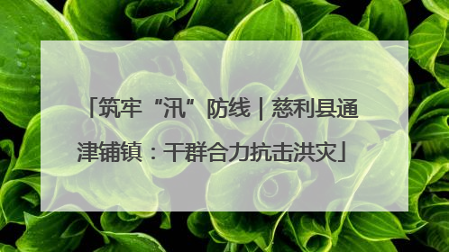 筑牢“汛”防线｜慈利县通津铺镇：干群合力抗击洪灾