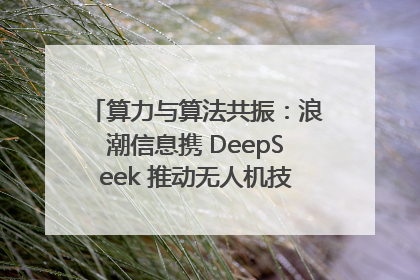 算力与算法共振：浪潮信息携 DeepSeek 推动无人机技术在舟山落地