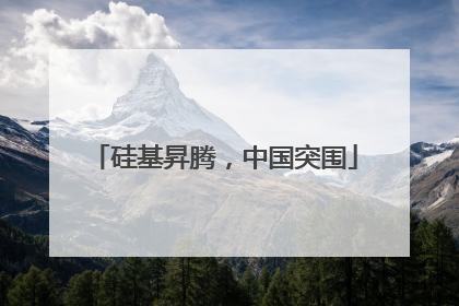 硅基昇腾，中国突围