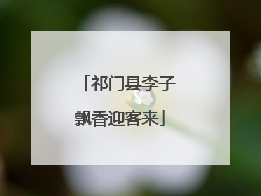 祁门县李子飘香迎客来