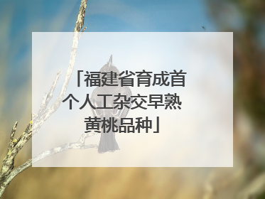 福建省育成首个人工杂交早熟黄桃品种