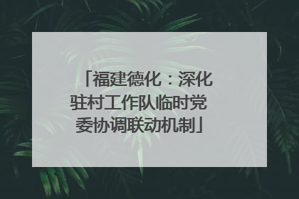 福建德化：深化驻村工作队临时党委协调联动机制