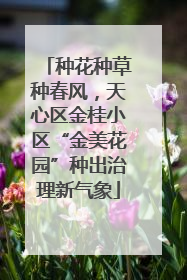 种花种草种春风，天心区金桂小区“金美花园”种出治理新气象