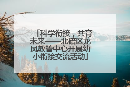 科学衔接，共育未来——北碚区龙凤教管中心开展幼小衔接交流活动
