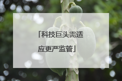 科技巨头需适应更严监管