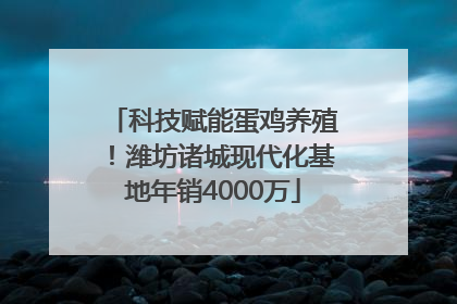科技赋能蛋鸡养殖！潍坊诸城现代化基地年销4000万