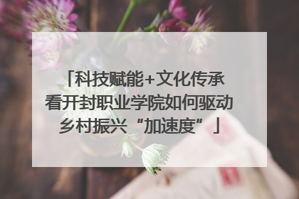 科技赋能+文化传承 看开封职业学院如何驱动乡村振兴“加速度”