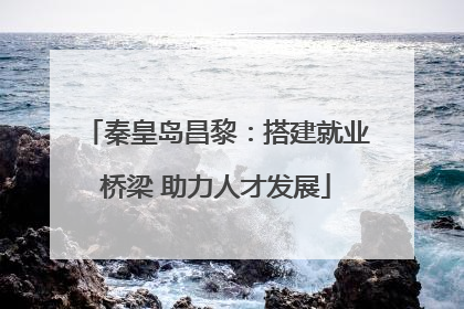 秦皇岛昌黎：搭建就业桥梁 助力人才发展