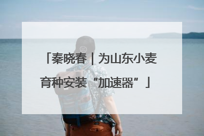 秦晓春｜为山东小麦育种安装“加速器”