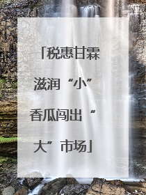 税惠甘霖滋润“小”香瓜闯出“大”市场