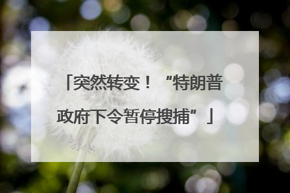 突然转变！“特朗普政府下令暂停搜捕”