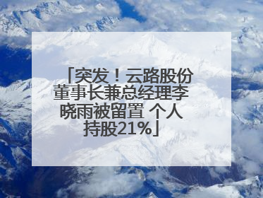 突发！云路股份董事长兼总经理李晓雨被留置 个人持股21%