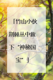 竹山小伙荆棘丛中救下“神秘国宝”