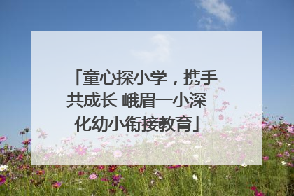 童心探小学，携手共成长 峨眉一小深化幼小衔接教育