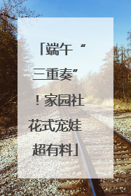 端午“三重奏”！家园社花式宠娃超有料