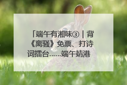 端午有湘味③｜背《离骚》免票、打诗词擂台……端午靖港古镇趣味多