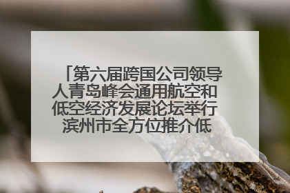 第六届跨国公司领导人青岛峰会通用航空和低空经济发展论坛举行 滨州市全方位推介低空经济发展优势