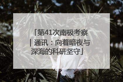 第41次南极考察｜通讯：向着暗夜与深海的科研坚守