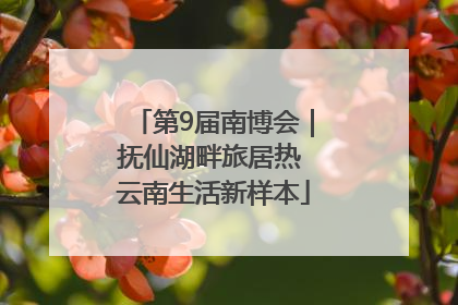 第9届南博会｜抚仙湖畔旅居热 云南生活新样本