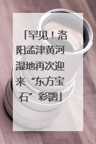 罕见！洛阳孟津黄河湿地再次迎来“东方宝石”彩鹮