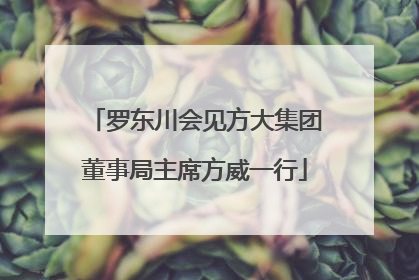 罗东川会见方大集团董事局主席方威一行