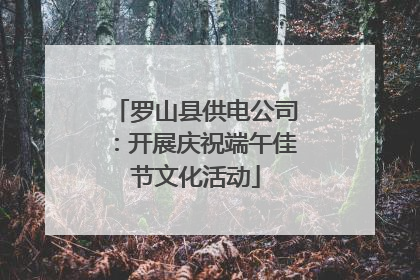 罗山县供电公司：开展庆祝端午佳节文化活动