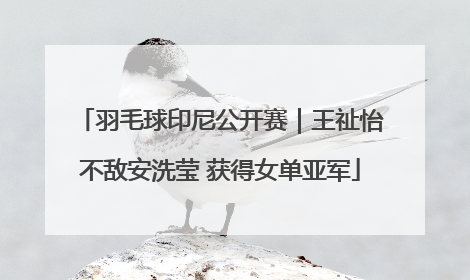 羽毛球印尼公开赛｜王祉怡不敌安洗莹 获得女单亚军