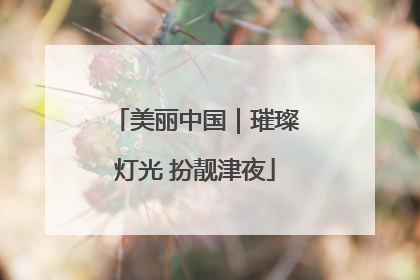美丽中国｜璀璨灯光 扮靓津夜
