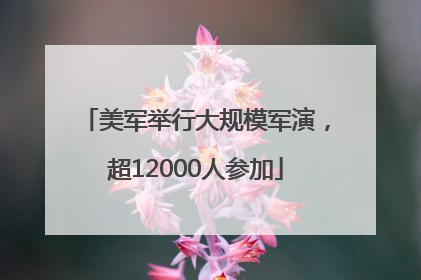 美军举行大规模军演，超12000人参加