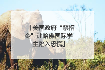 美国政府“禁招令”让哈佛国际学生陷入恐慌