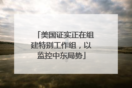 美国证实正在组建特别工作组，以监控中东局势