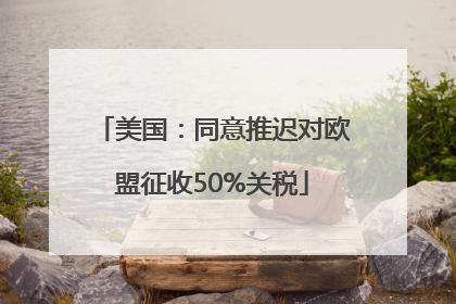 美国：同意推迟对欧盟征收50%关税