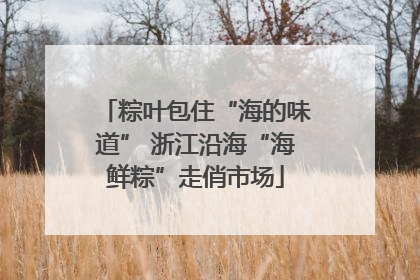 粽叶包住“海的味道” 浙江沿海“海鲜粽”走俏市场