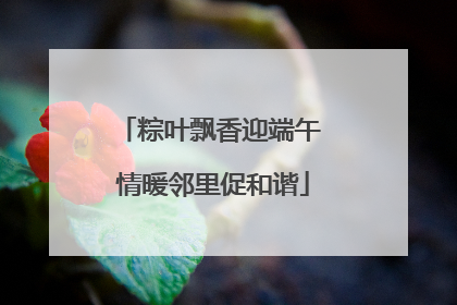 粽叶飘香迎端午 情暖邻里促和谐