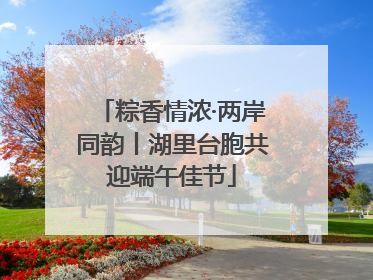 粽香情浓·两岸同韵丨湖里台胞共迎端午佳节