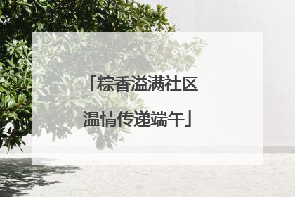 粽香溢满社区 温情传递端午