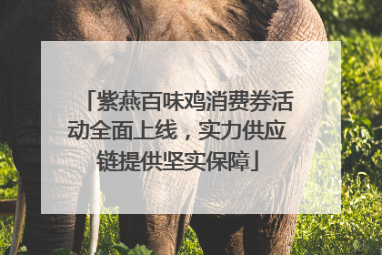 紫燕百味鸡消费券活动全面上线，实力供应链提供坚实保障